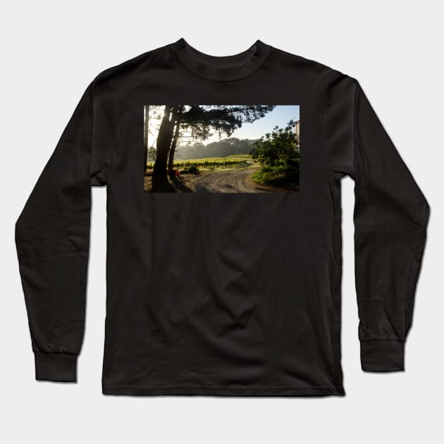 Morning light in the Vineyard - Adelaide Hills / Fleurieu Peninsula - Wine Region  - by Avril Thomas Long Sleeve T-Shirt by MagpieSprings